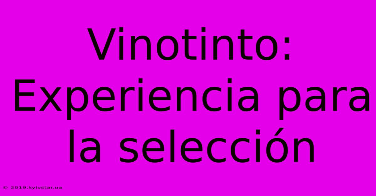 Vinotinto: Experiencia Para La Selección