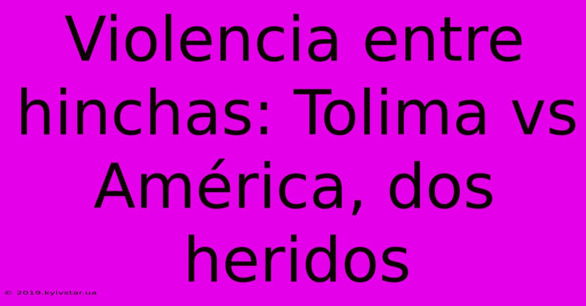 Violencia Entre Hinchas: Tolima Vs América, Dos Heridos