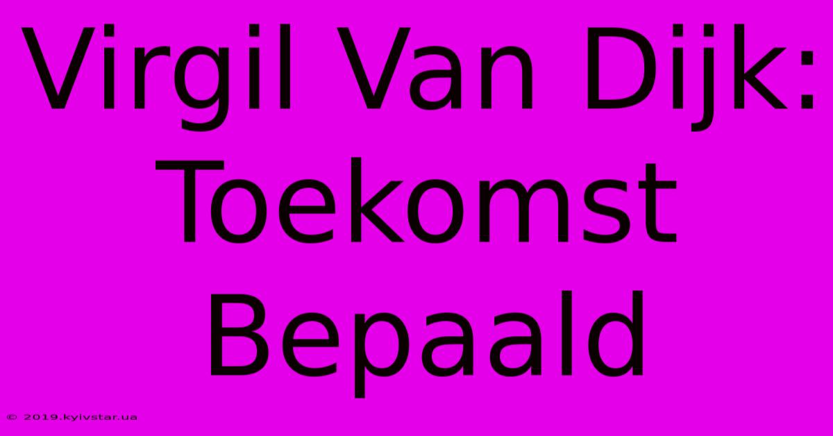 Virgil Van Dijk: Toekomst Bepaald