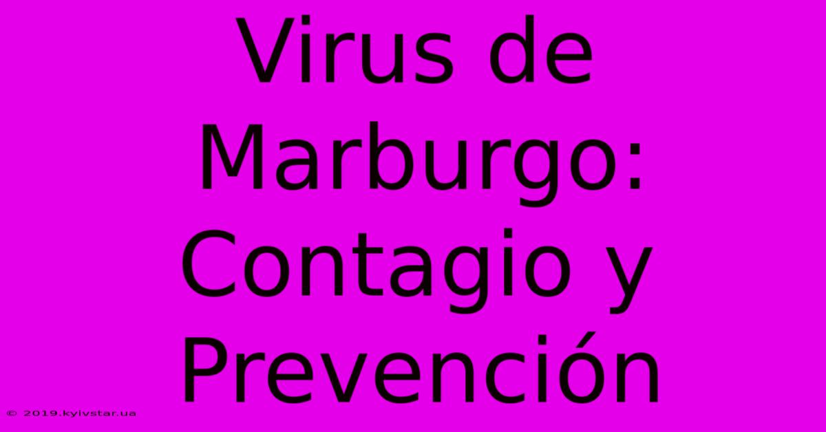 Virus De Marburgo: Contagio Y Prevención