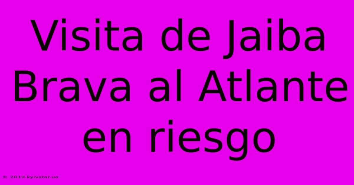 Visita De Jaiba Brava Al Atlante En Riesgo