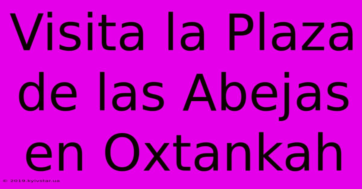 Visita La Plaza De Las Abejas En Oxtankah