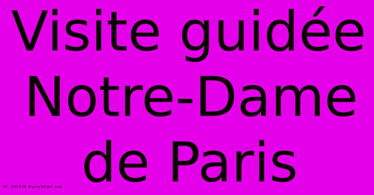 Visite Guidée Notre-Dame De Paris