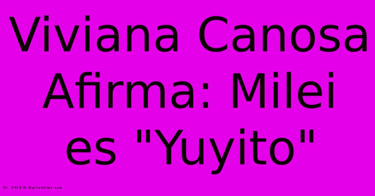 Viviana Canosa Afirma: Milei Es 