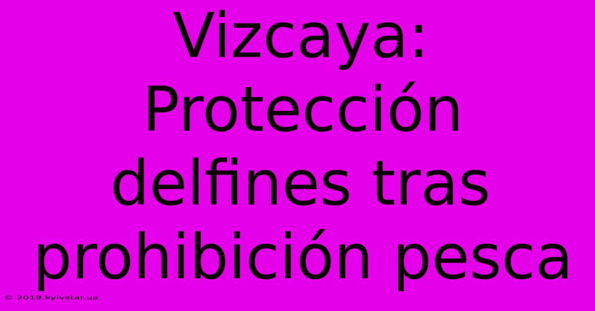 Vizcaya: Protección Delfines Tras Prohibición Pesca