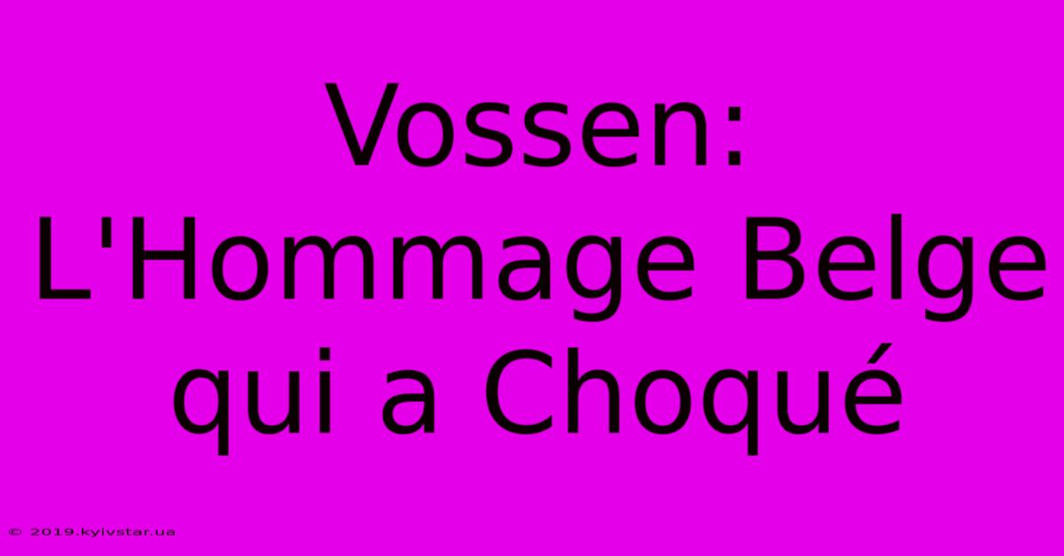 Vossen: L'Hommage Belge Qui A Choqué 