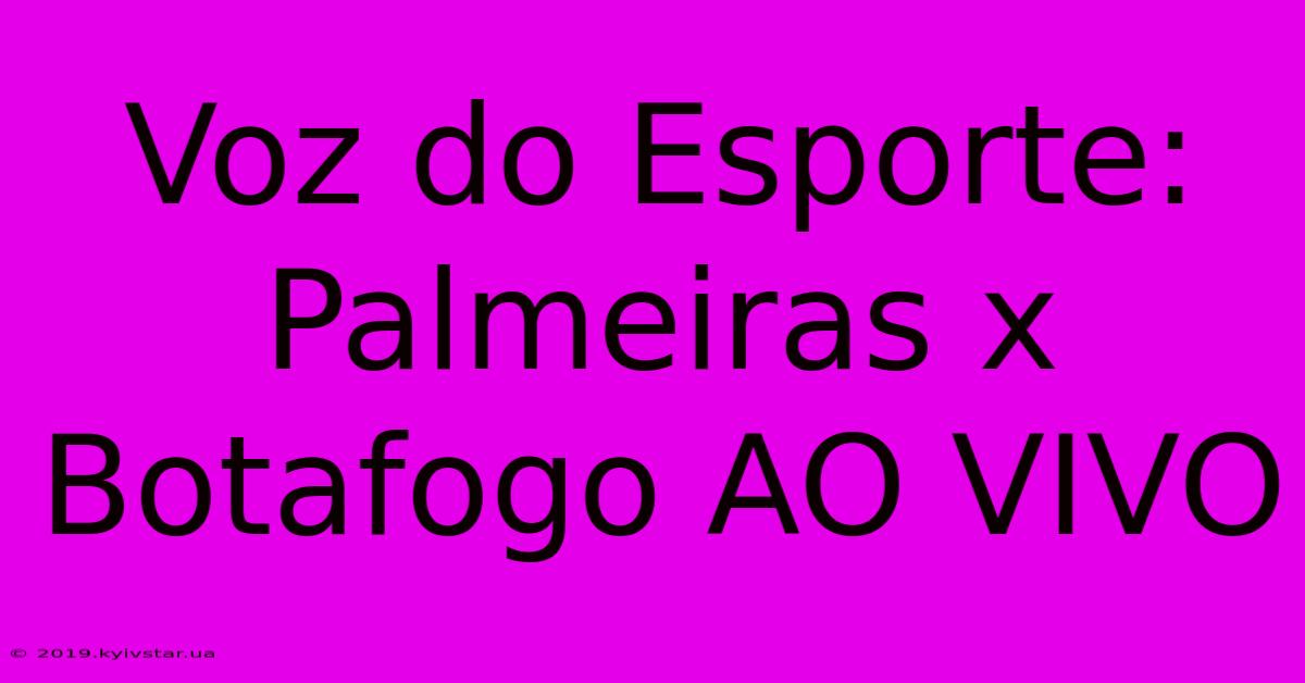 Voz Do Esporte: Palmeiras X Botafogo AO VIVO