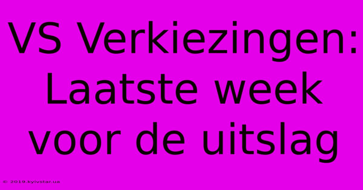 VS Verkiezingen: Laatste Week Voor De Uitslag 