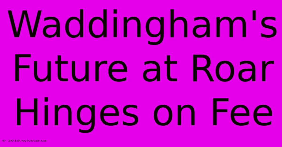 Waddingham's Future At Roar Hinges On Fee