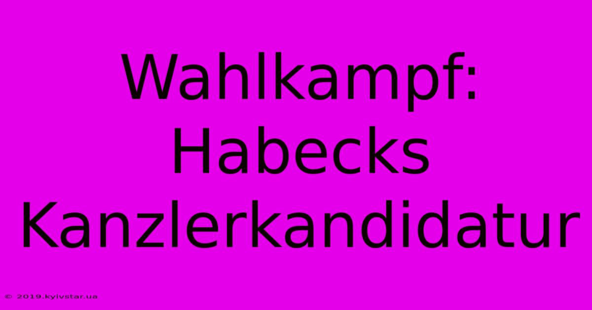 Wahlkampf: Habecks Kanzlerkandidatur