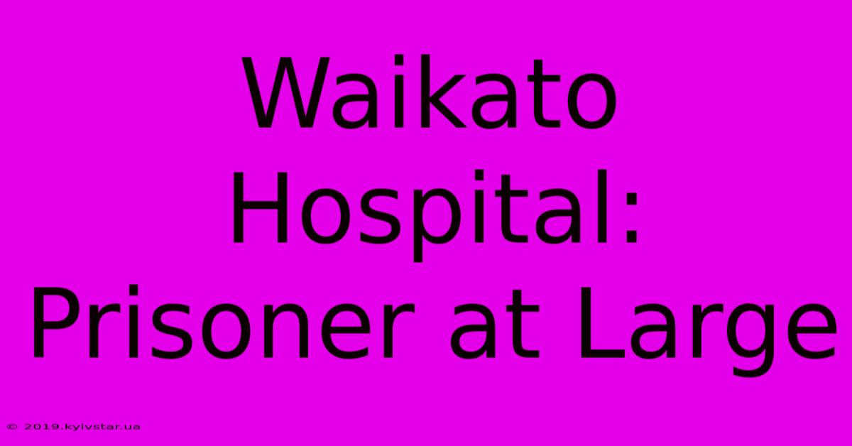 Waikato Hospital: Prisoner At Large