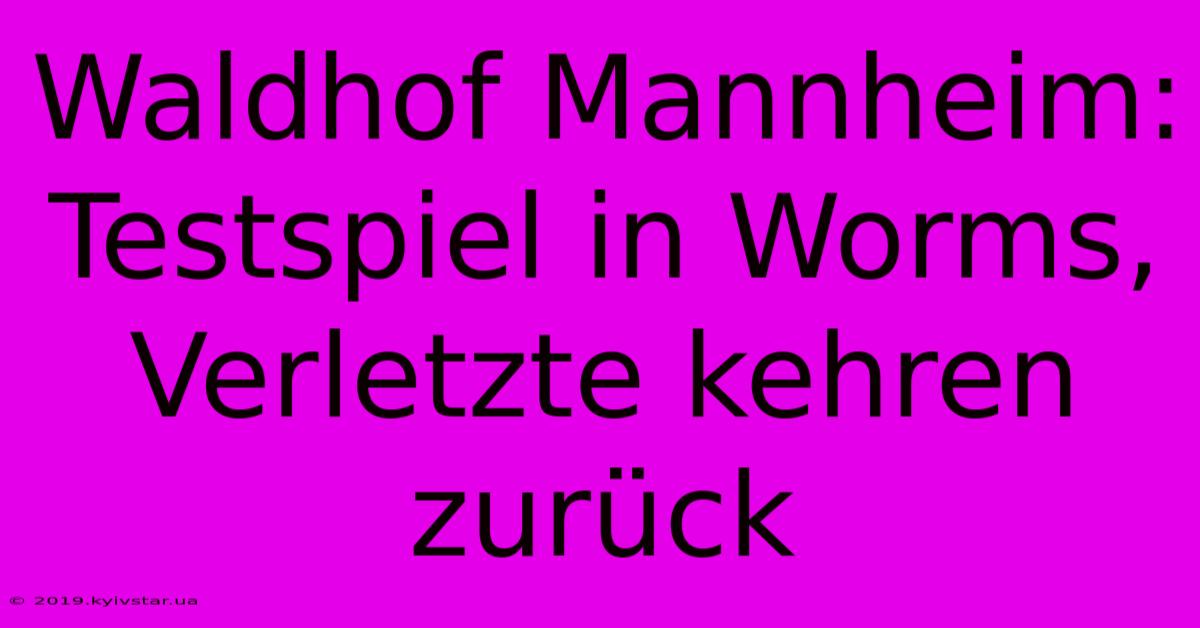 Waldhof Mannheim: Testspiel In Worms, Verletzte Kehren Zurück