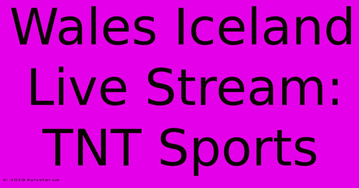 Wales Iceland Live Stream: TNT Sports