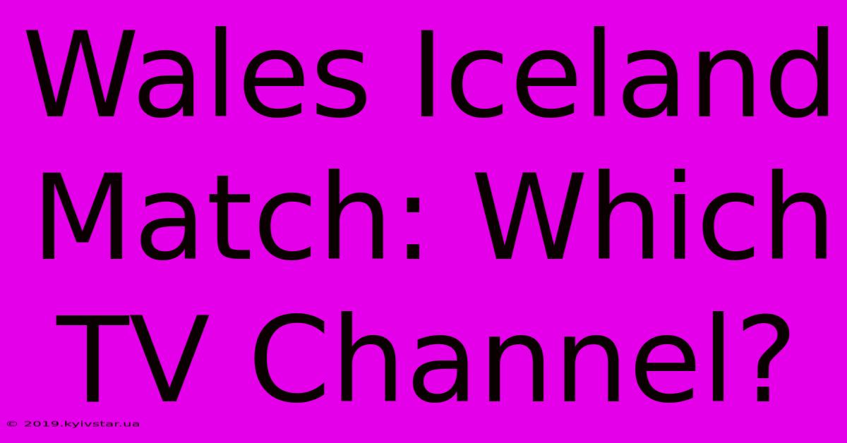 Wales Iceland Match: Which TV Channel?