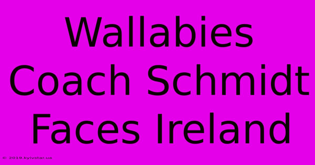 Wallabies Coach Schmidt Faces Ireland