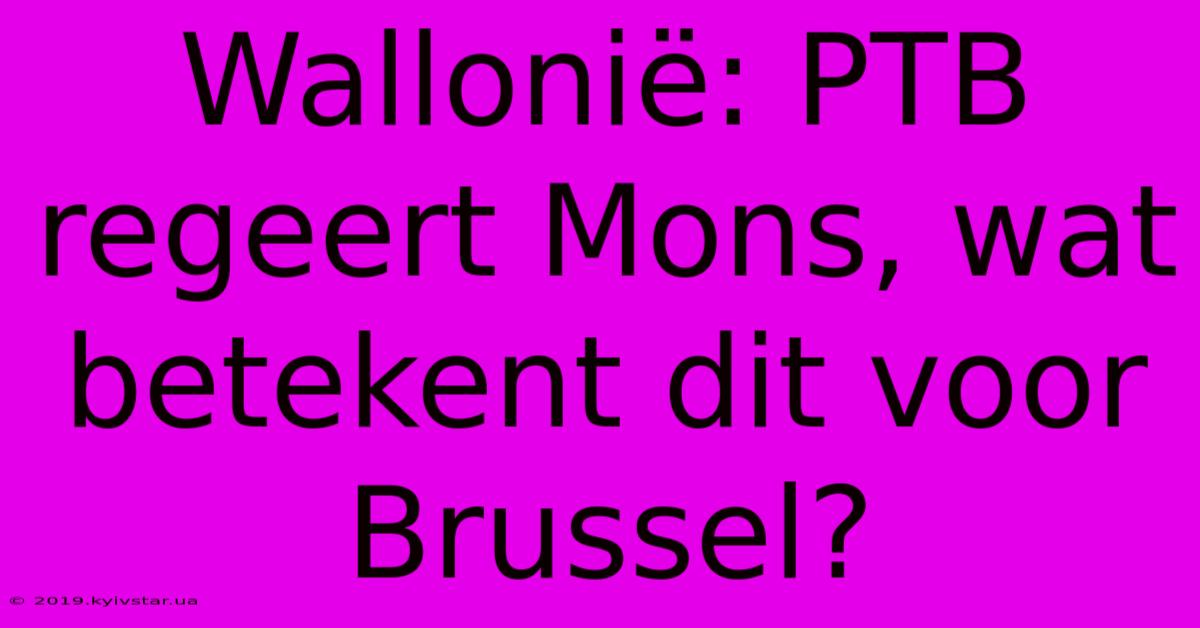 Wallonië: PTB Regeert Mons, Wat Betekent Dit Voor Brussel?