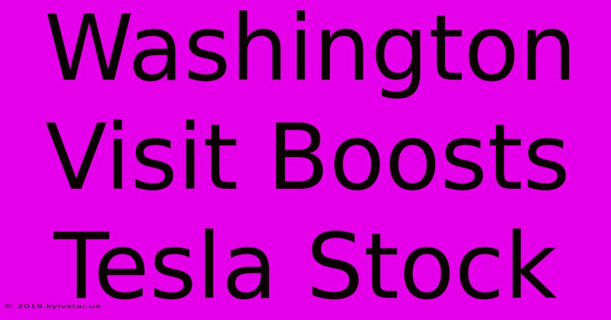 Washington Visit Boosts Tesla Stock