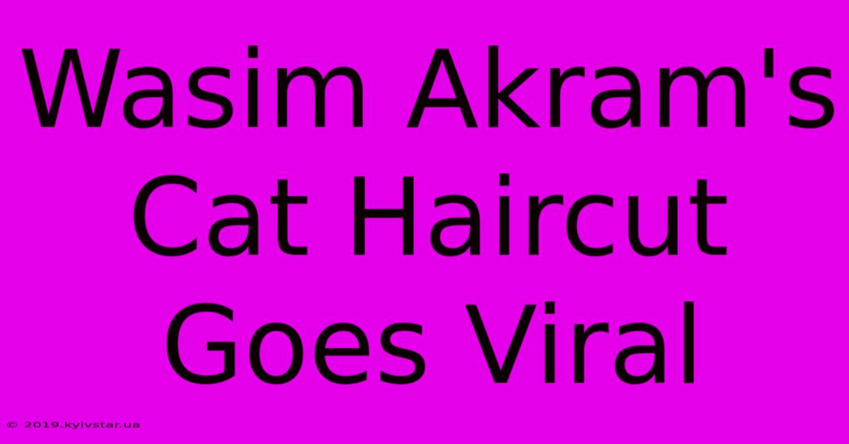 Wasim Akram's Cat Haircut Goes Viral