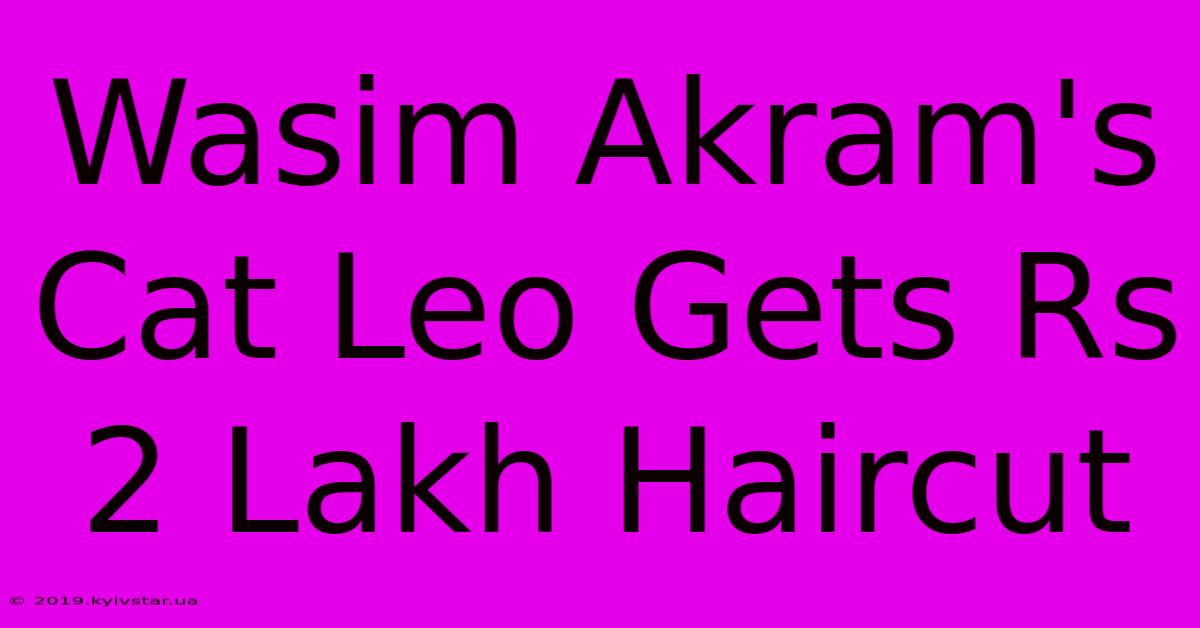 Wasim Akram's Cat Leo Gets Rs 2 Lakh Haircut 