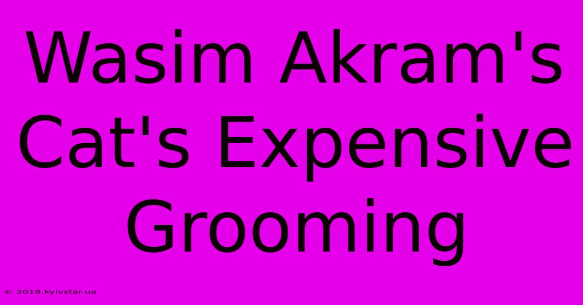 Wasim Akram's Cat's Expensive Grooming