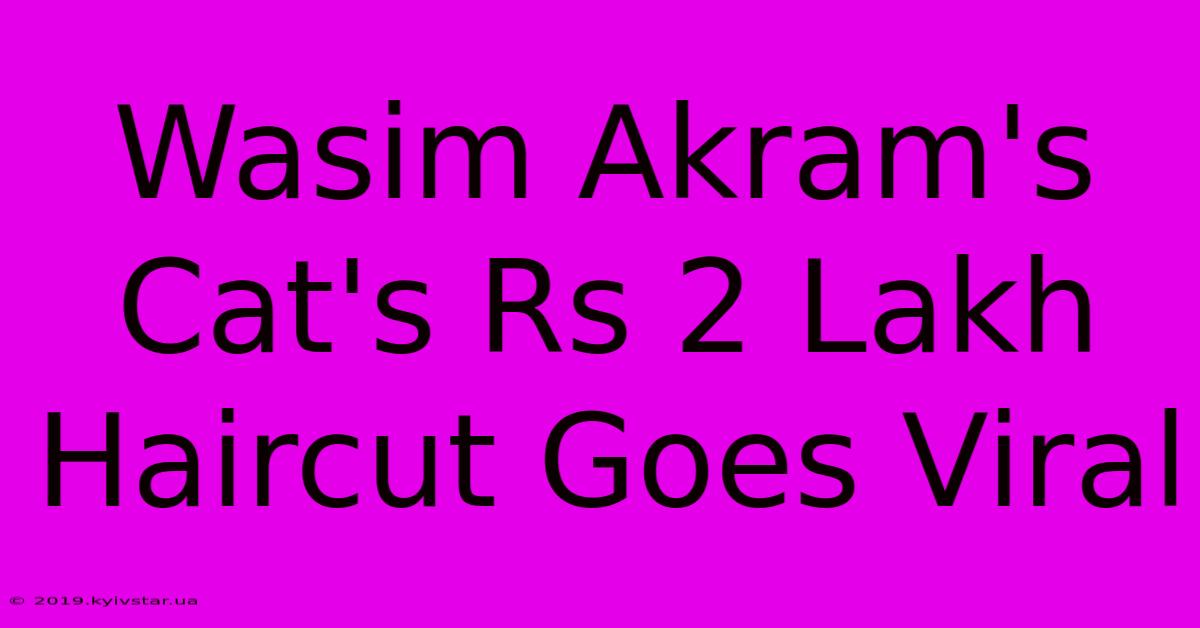 Wasim Akram's Cat's Rs 2 Lakh Haircut Goes Viral 