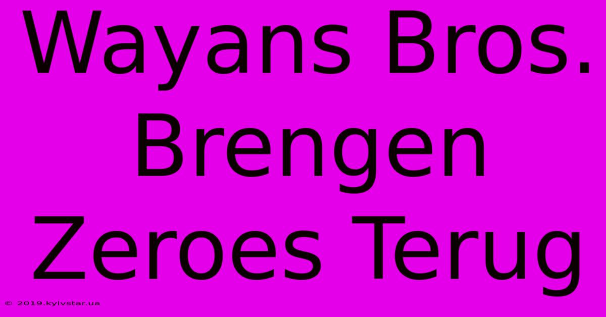 Wayans Bros. Brengen Zeroes Terug