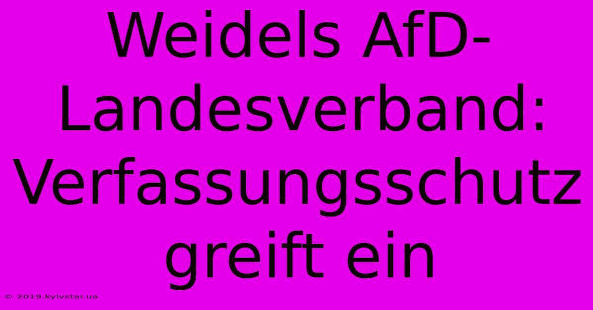 Weidels AfD-Landesverband: Verfassungsschutz Greift Ein