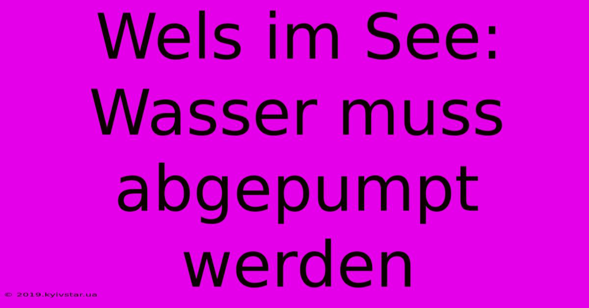 Wels Im See: Wasser Muss Abgepumpt Werden