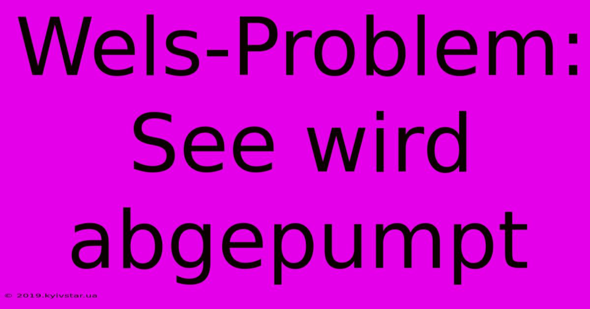 Wels-Problem: See Wird Abgepumpt