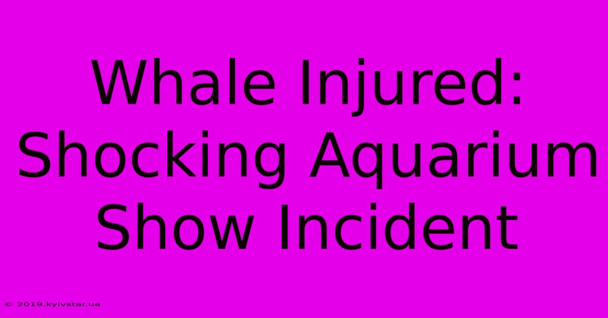 Whale Injured: Shocking Aquarium Show Incident