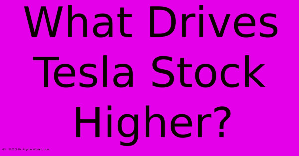 What Drives Tesla Stock Higher?