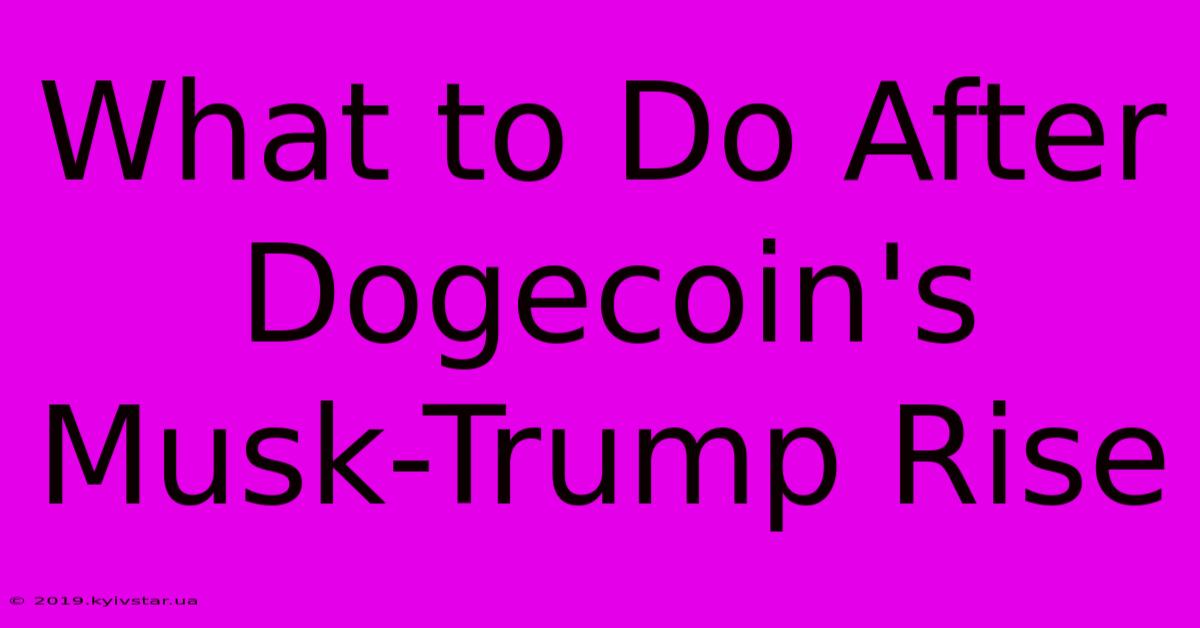 What To Do After Dogecoin's Musk-Trump Rise 