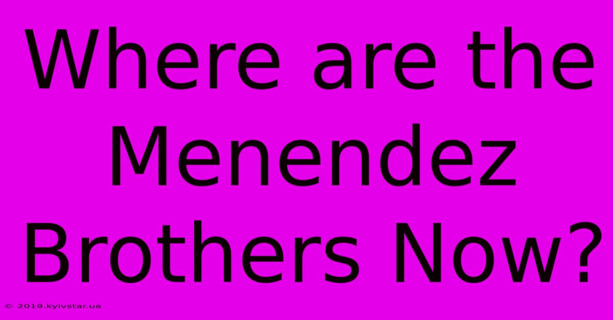 Where Are The Menendez Brothers Now?