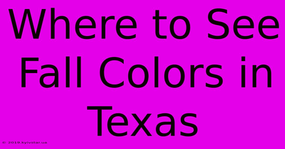 Where To See Fall Colors In Texas