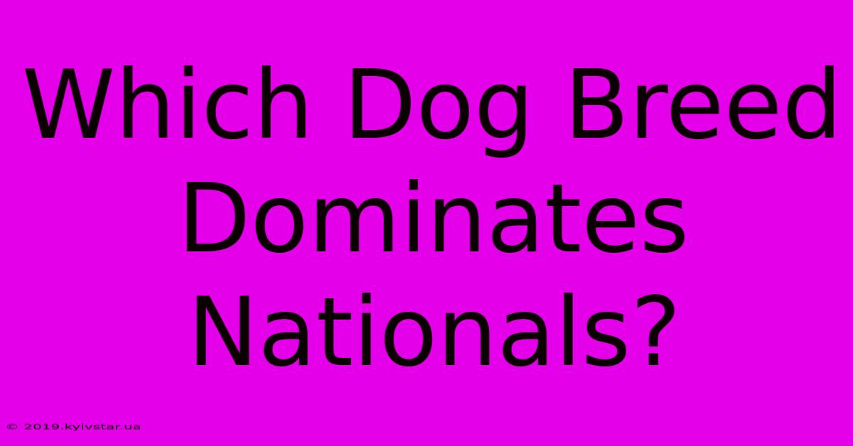 Which Dog Breed Dominates Nationals?