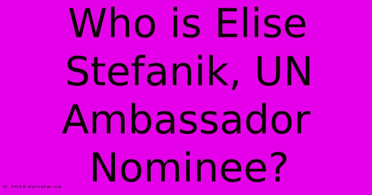 Who Is Elise Stefanik, UN Ambassador Nominee?