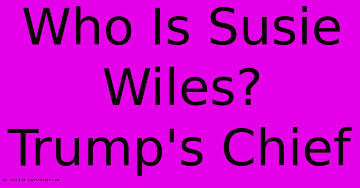 Who Is Susie Wiles? Trump's Chief