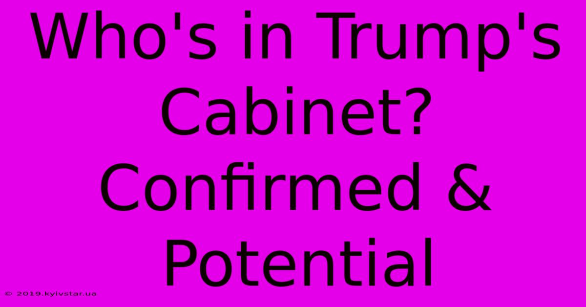 Who's In Trump's Cabinet? Confirmed & Potential