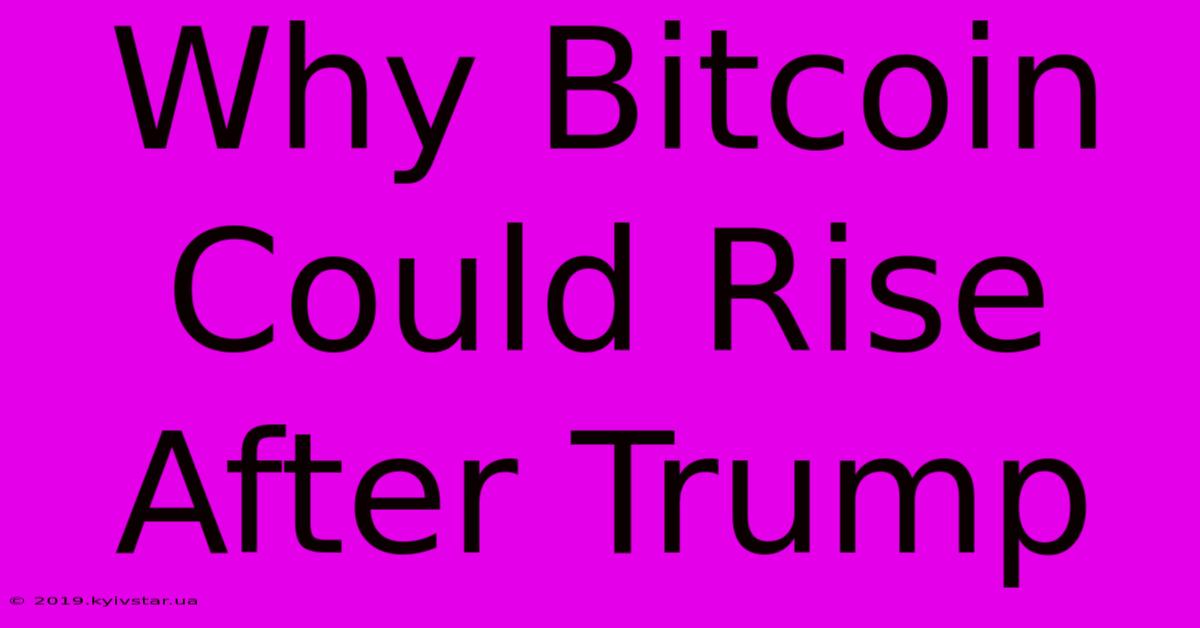 Why Bitcoin Could Rise After Trump 