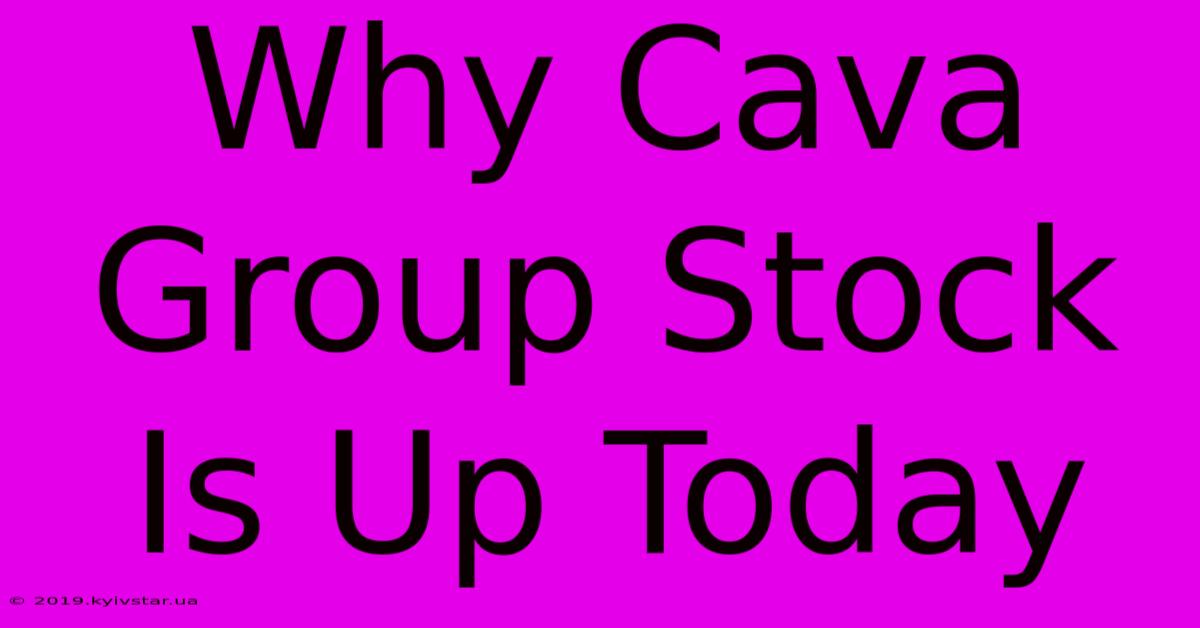 Why Cava Group Stock Is Up Today