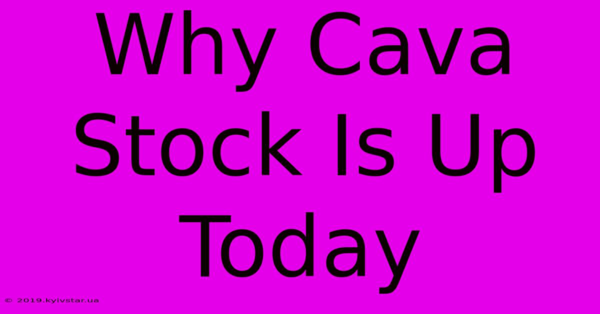 Why Cava Stock Is Up Today