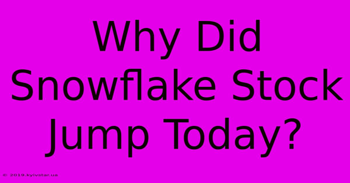 Why Did Snowflake Stock Jump Today?