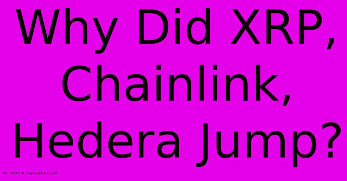 Why Did XRP, Chainlink, Hedera Jump?