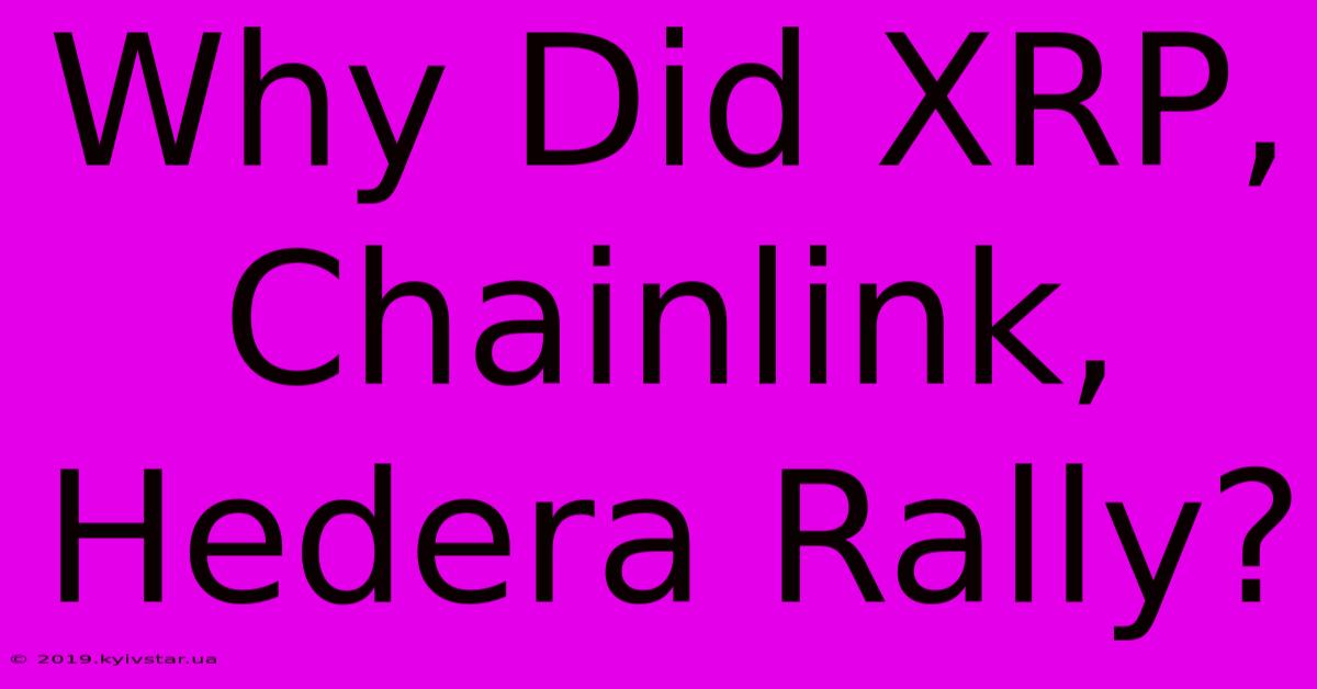 Why Did XRP, Chainlink, Hedera Rally?