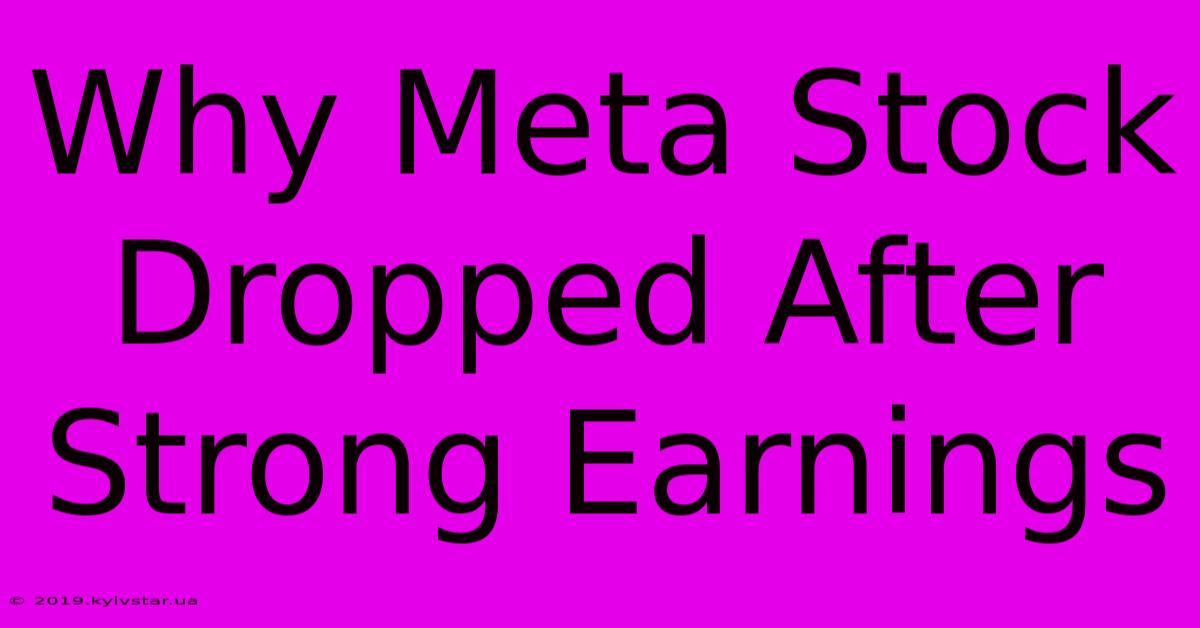 Why Meta Stock Dropped After Strong Earnings