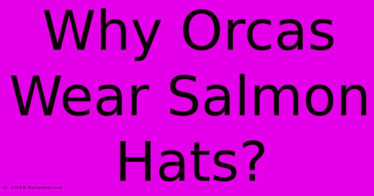 Why Orcas Wear Salmon Hats?