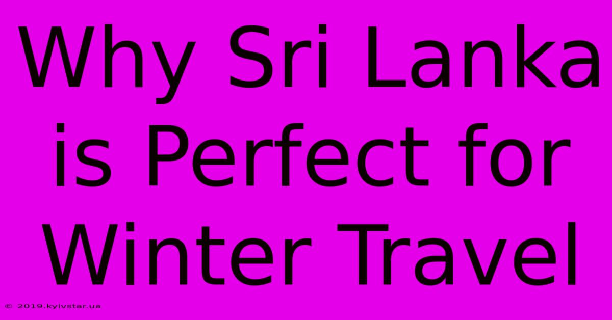 Why Sri Lanka Is Perfect For Winter Travel 