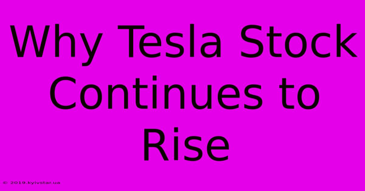 Why Tesla Stock Continues To Rise