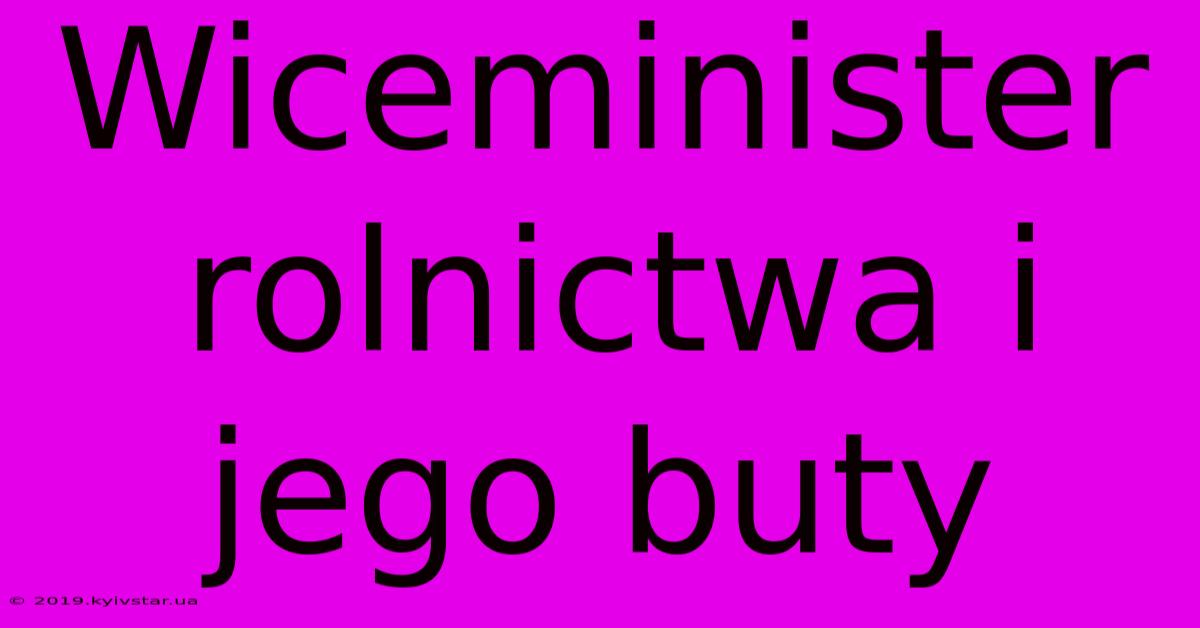 Wiceminister Rolnictwa I Jego Buty