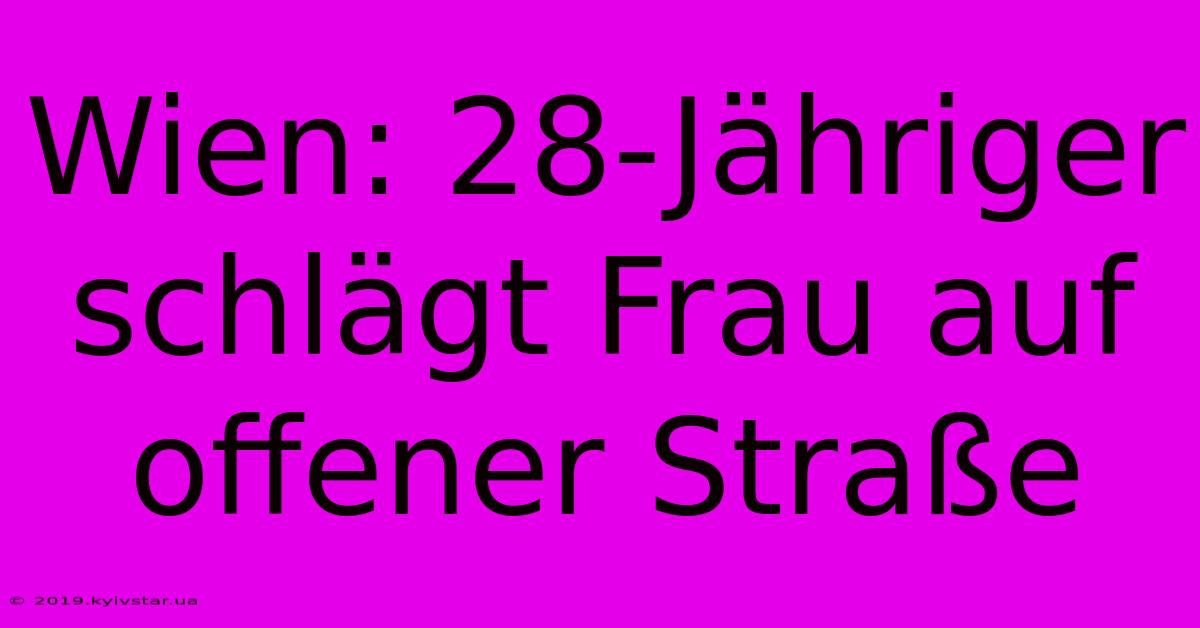 Wien: 28-Jähriger Schlägt Frau Auf Offener Straße